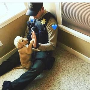 Meet your Posher, Cody